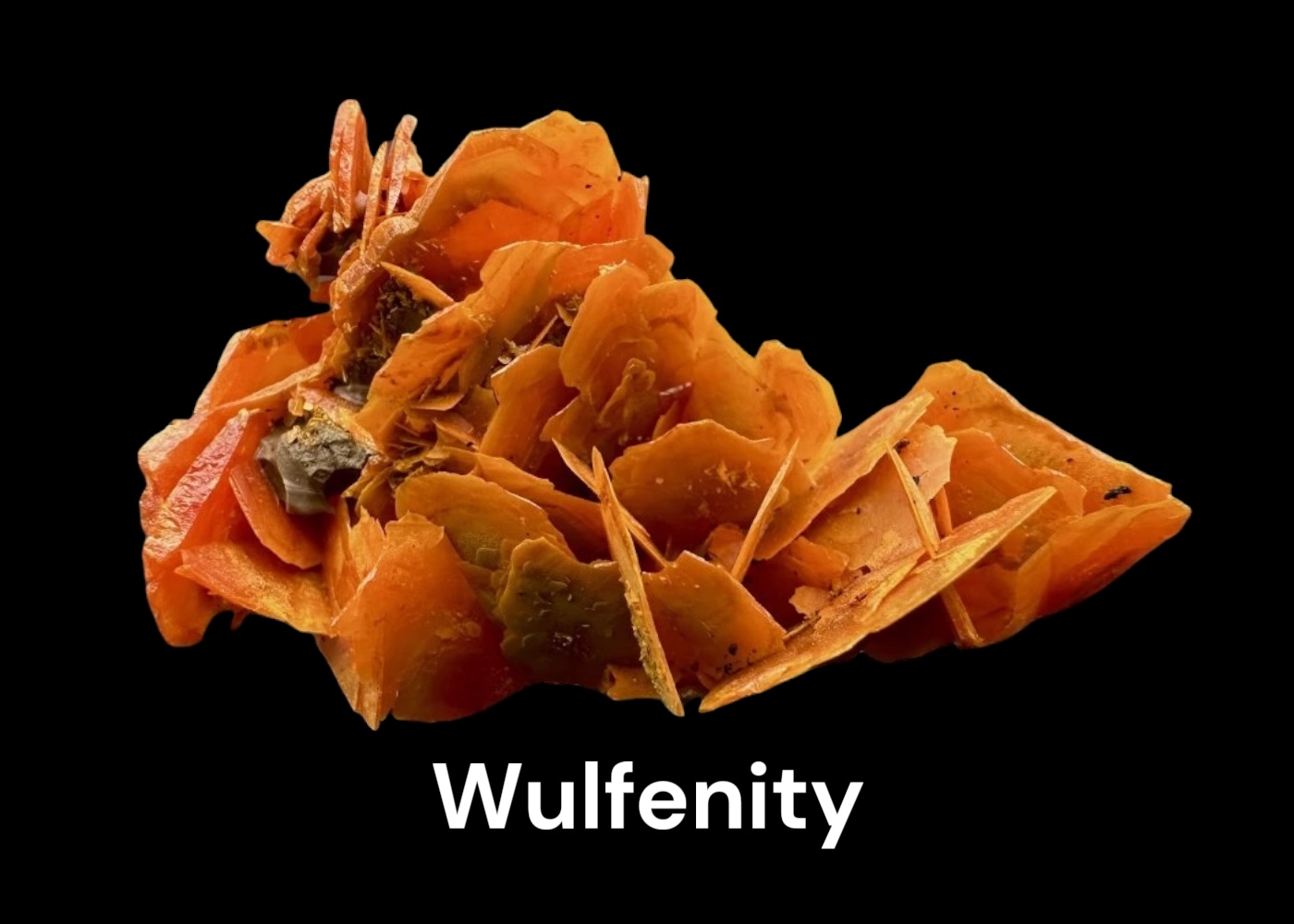 Wulfenity